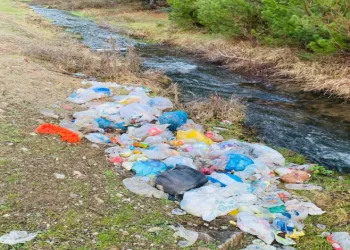 Çöp yığınları çirkin görüntülere sahne oldu