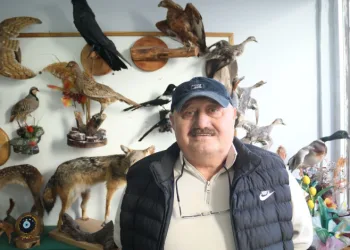 Yaban hayatını Tahnit Sanatı’yla yaşatıyor