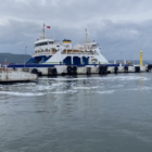 marmara-bölgesi-müsilaj