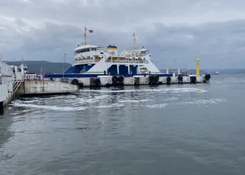 marmara-bölgesi-müsilaj