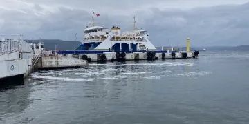 marmara-bölgesi-müsilaj