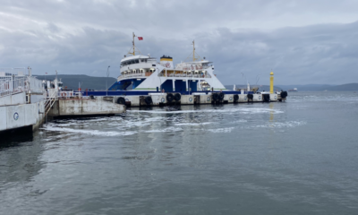 marmara-bölgesi-müsilaj