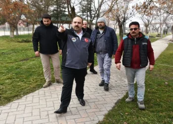 Parka yeni kamelyalar geliyor
