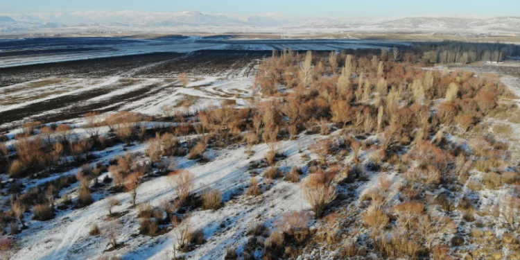 Ağrı’da kış manzarası göz kamaştırdı