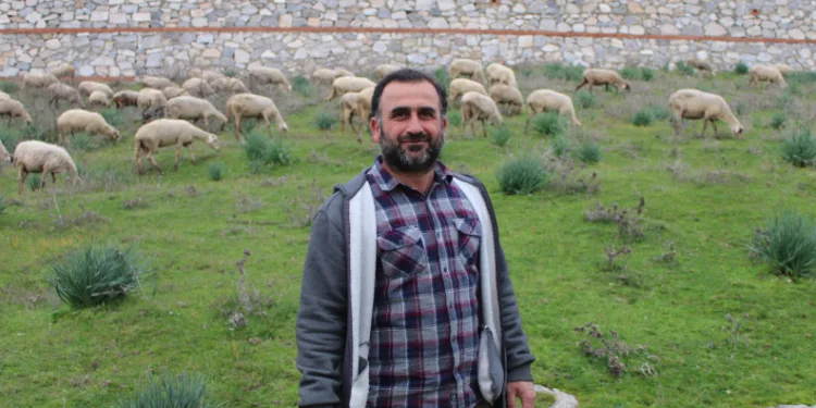 Koyunlardan 32 yıldır kopamıyor