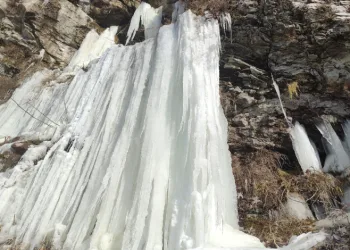 ardahan