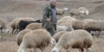 “Şehir hayatı açık cezaevi gibi”