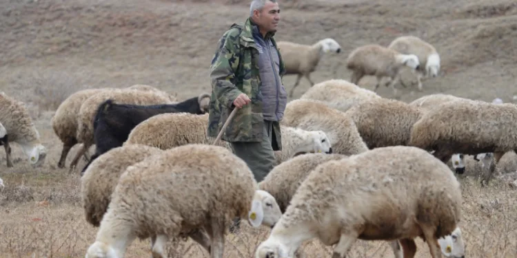 “Şehir hayatı açık cezaevi gibi”