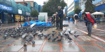 Soğukta aç kalan güvercinlerin yardımına yetiştiler