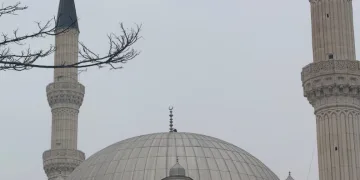 Iğdır’da leylekler şehri terk etmedi