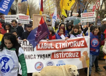 Bu köpekler her etkinlikte var
