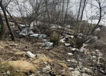 Çöp yığınları vatandaşı bıktırdı