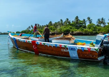 Balık vermeyip balık tutmayı öğrettiler
