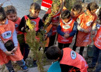 Minik eller geleceğe fidan dikti