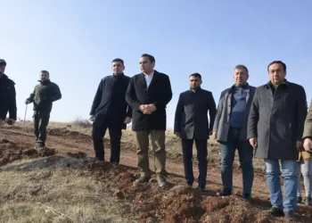 Besni’de 13 bin fidan toprakla buluşuyor