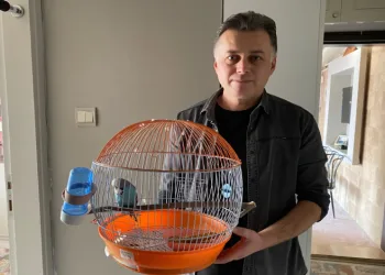Doğum gününde bulduğu kuşun sahibini arıyor