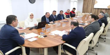 Düzce’de 2024’te fındık üretimi yüzde 36 arttı