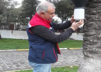 Söke’de zararlı sinek tuzakları kontrol edildi