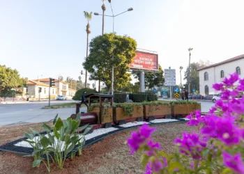 Mersin’de kavşaklar ‘estetik dokunuşlarla’ güzelleşiyor