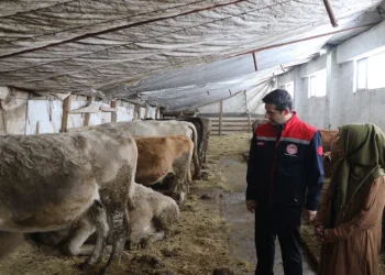 25 yıl sonra kendi memleketinde işyeri açtı