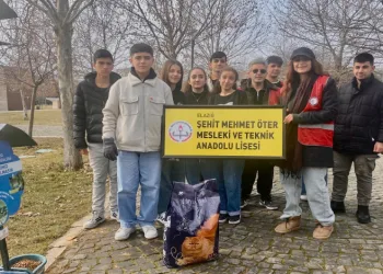 Can dostlara su ve mama desteği