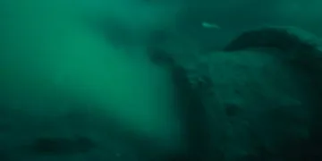 Marmara Denizi’nde müsilaj alarmı