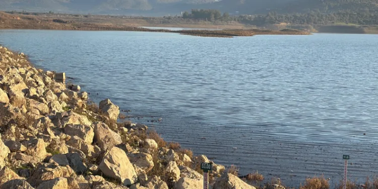 Bodrum’da yağışlar barajları doldurdu