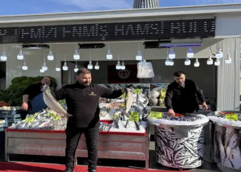 Çorum’da balıkçılar yeni yerinde
