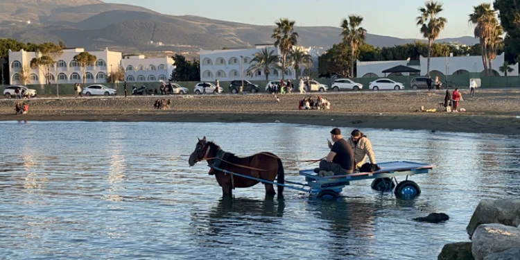 At arabasıyla denize girip güneşlendiler