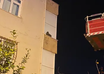 İskenderun’da balkonda mahsur kalan kediyi itfaiye kurtardı