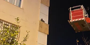İskenderun’da balkonda mahsur kalan kediyi itfaiye kurtardı