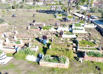 Büyük Manavgat yangınında küle dönen mezarlığın ağaçları yeniden yeşerecek