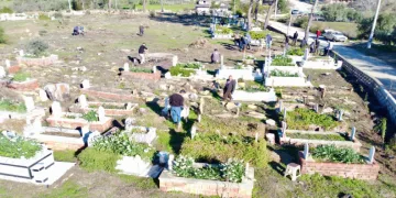 Büyük Manavgat yangınında küle dönen mezarlığın ağaçları yeniden yeşerecek
