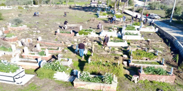 Büyük Manavgat yangınında küle dönen mezarlığın ağaçları yeniden yeşerecek