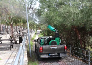 Çam kese böceğine önlem aldı