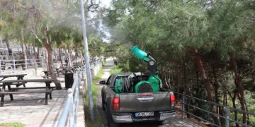 Çam kese böceğine önlem aldı