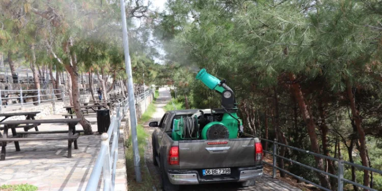 Çam kese böceğine önlem aldı