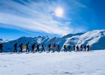 Çam kese böceğine önlem aldı
