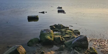 Deniz çekildi, gün yüzüne çıktı