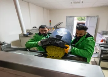 Yemek atıkları mamaya dönüştürülüyor