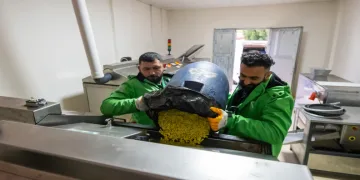 Yemek atıkları mamaya dönüştürülüyor