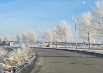 Erzurum Ovası eksi 24 ile buz kesti
