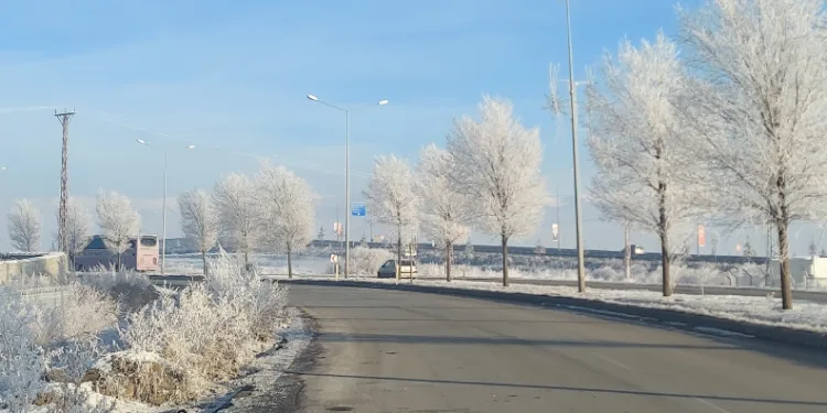 Erzurum Ovası eksi 24 ile buz kesti