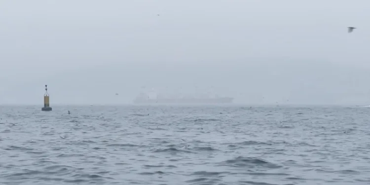 İstanbul Boğazı’nda sis etkili oluyor