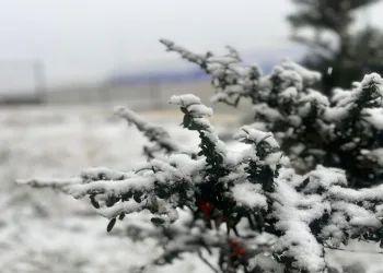 Kayseri’de kar yağışı ve sis etkili oldu