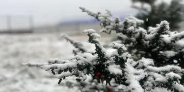 Kayseri’de kar yağışı ve sis etkili oldu
