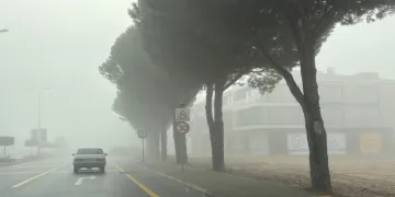Muğla’da sis etkili oldu