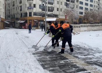 Yılbaşında beklenen kar ocak sonlarında yağdı
