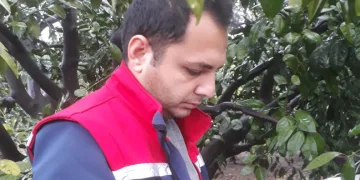 Akdeniz meyve sineğinde artış olmadı, üreticiler sevindi