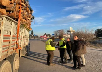 Denizli’de orman kaçakçılığına geçit yok